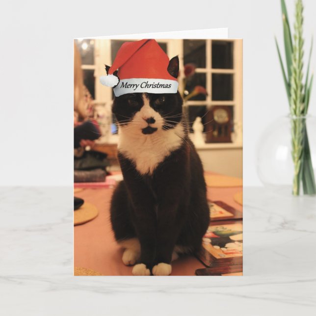 Festividades Cartão de gato de Natal feliz (Frente)