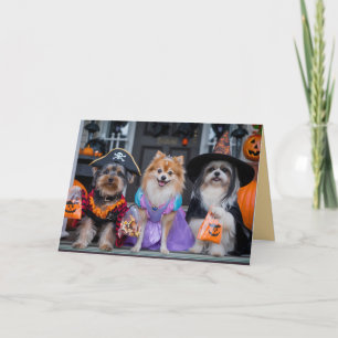 Festividades Cartão de Halloween Cute Dog Trick-or-Treat