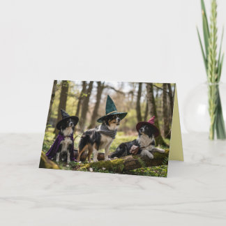 Festividades Cartão de Halloween de Bruxa do Border Collie