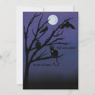 Festividades Cartão de Halloween de gato-corvo-coruja-morcego-n