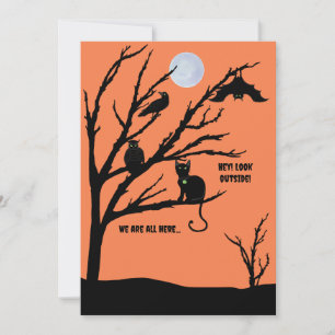 Festividades Cartão de Halloween de gato-corvo-coruja-morcego-n