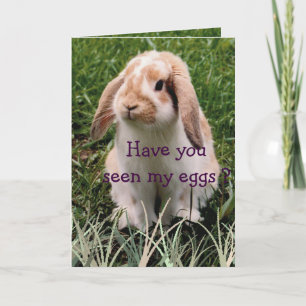 Festividades Cartão de Interação