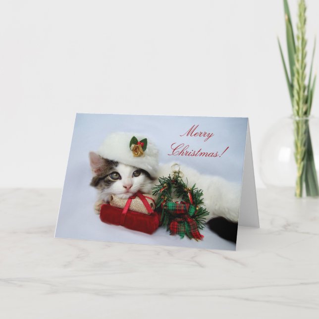 Festividades Cartão de Kitten Natal (Frente)