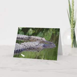 Festividades Cartão de Namorados Love Always (Gator Style)