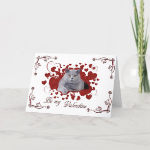 Festividades Cartão de namorados para gatos