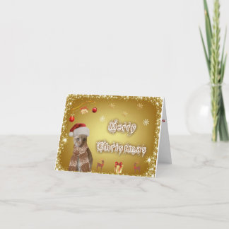 Festividades cartão de natal