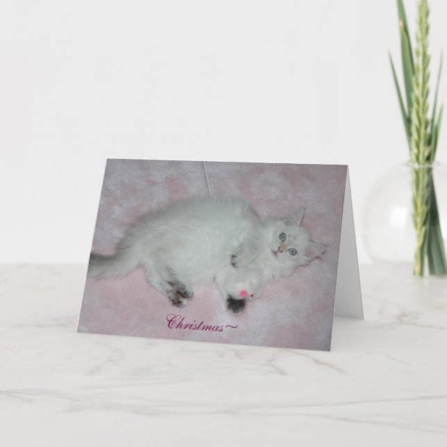 Festividades Cartão de Natal (Frente)