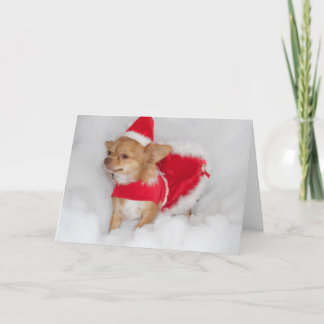 Festividades cartão de Natal