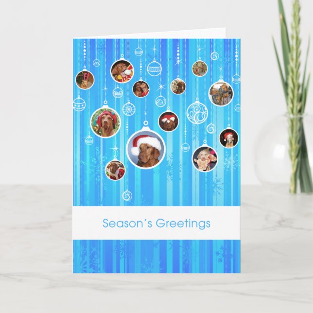 Festividades Cartão de Natal 009 de Vizsla do Hungarian (Frente)