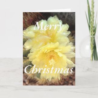 Festividades Cartão de Natal amarelo da flor do cacto