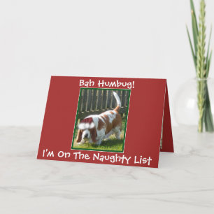 Festividades Cartão de Natal "Bah Humbug" engraçado com Hound B