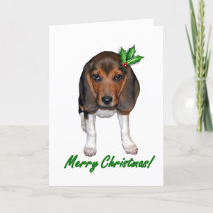 Festividades Cartão de Natal Beagle