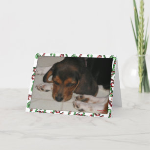 Festividades Cartão de Natal Beagle (Sonolento)