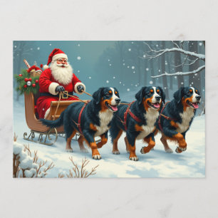 Festividades Cartão de Natal Berner Sennen