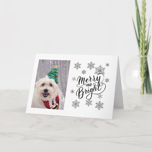 Festividades Cartão de Natal Bichon Maltês Cachorro (Frente)