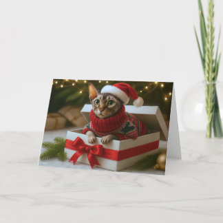 Festividades Cartão de Natal Bigodes e Rugas