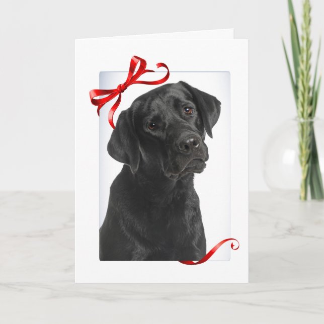Festividades Cartão de Natal Black Lab (Frente)