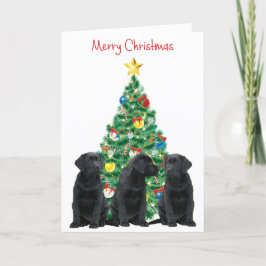 Festividades Cartão de Natal Black Labrador