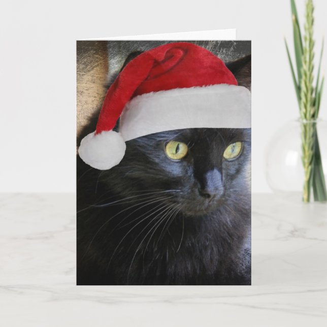 Festividades Cartão de Natal bonito, Bonito Gato Preto com Boné (Frente)
