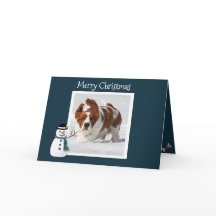 Cartão de Natal bonito com Basset, Presentes e Cas