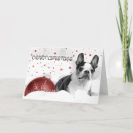 Festividades Cartão de Natal Boston Terrier