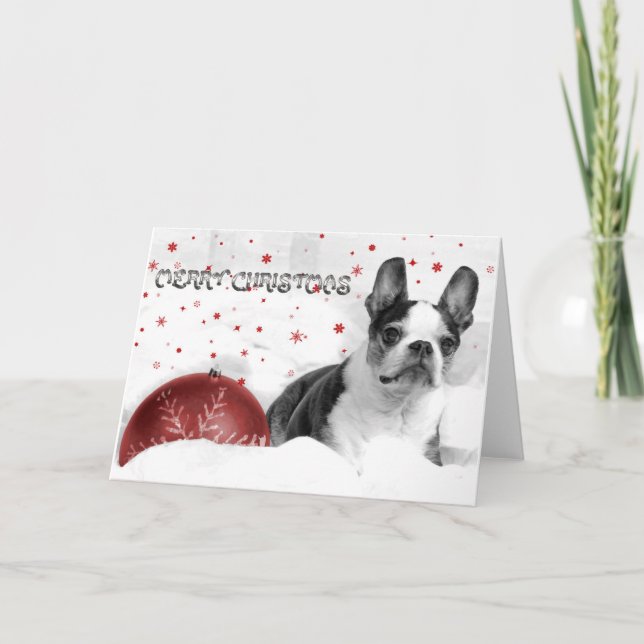 Festividades Cartão de Natal Boston Terrier (Frente)