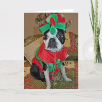 Festividades Cartão de Natal Boston Terrier Elf