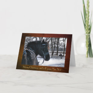 Festividades Cartão de Natal "Canadian Horse Sleigh"