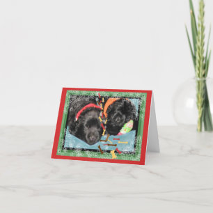 Festividades Cartão de Natal~Cãozinhos de novo dormindo