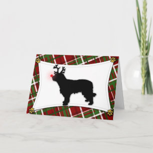 Festividades Cartão de Natal Catalão Sheepdog Reindeer