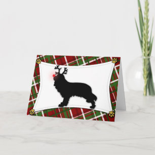 Festividades Cartão de Natal Cavalier King Charles Reindeer