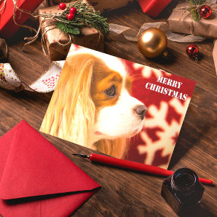 Festividades Cartão de Natal Cavalier King Charles Snowflake