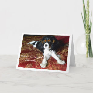 Festividades Cartão de Natal Cavalier King Charles Spaniel
