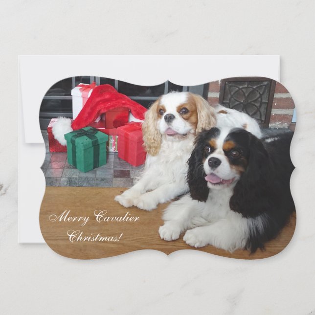Festividades Cartão de Natal Cavalier King Charles Spaniel (Frente)