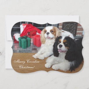 Festividades Cartão de Natal Cavalier King Charles Spaniel