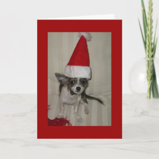 Festividades Cartão de Natal Chihuahua