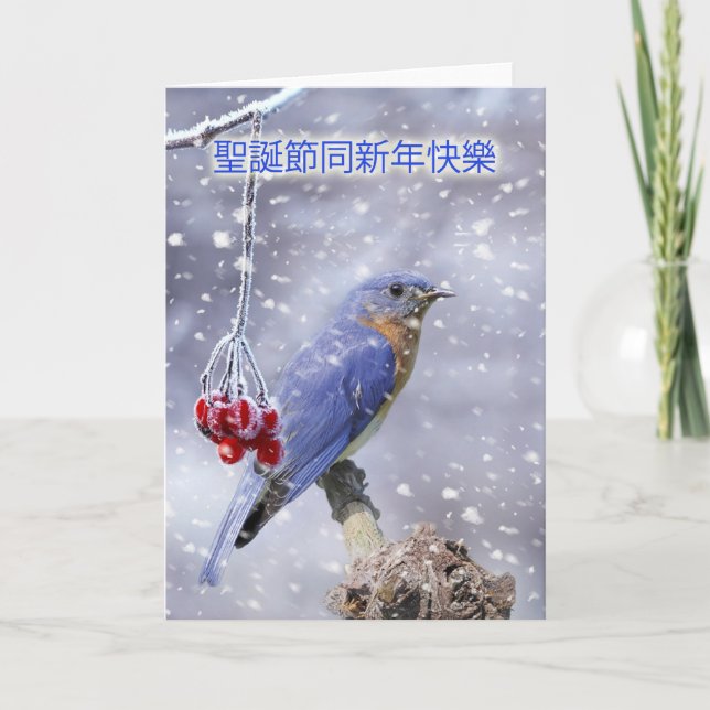 Festividades cartão de natal chinês - pássaro azul com bagas e (Frente)