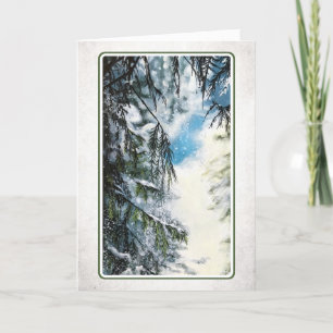 Festividades Cartão de Natal Claro para Florestas