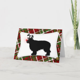 Festividades Cartão de Natal Clumber Spaniel Reindeer