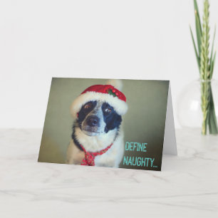 Festividades Cartão de Natal Collie da Borda Doida.
