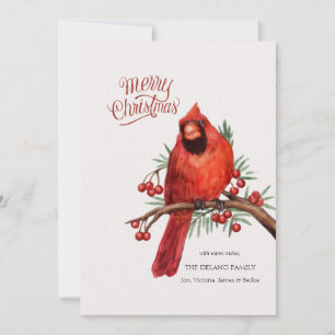 Festividades Cartão de Natal com Cardinal Vermelho no Galho de 