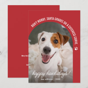 Festividades Cartão de Natal com Foto de Cachorro Engraçado
