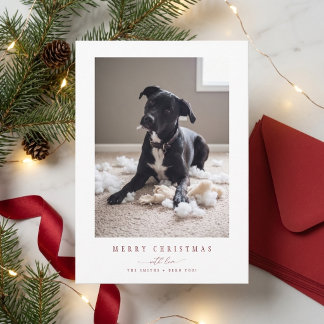 Festividades Cartão de Natal com Foto de Cachorro Engraçado e E