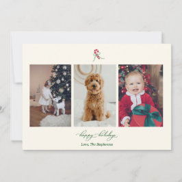 Festividades Cartão de Natal com Foto de Cana de Açúcar