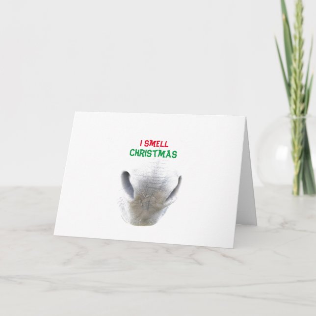 Festividades Cartão de Natal com nariz burro (Frente)