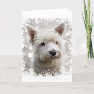 Festividades Cartão de Natal com Westie