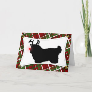 Festividades Cartão de Natal Coton de Tulear Reindeer
