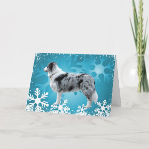 Festividades Cartão de Natal da Border Collie