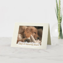 Cartão de Natal da Paz do Cão de Estimação Golden 