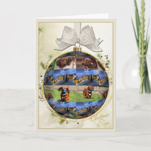 Festividades Cartão de Natal Dachshund